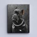 Картина Cane Corso