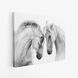 Картина Two White Horses