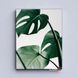 Картина Tropical leaf