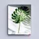 Картина Tropical leaf