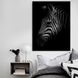 Картина Black Zebra
