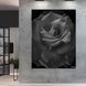 Картина Black Rose