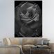 Картина Black Rose