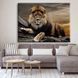 Картина Sunset Lion