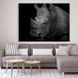 Картина Black Rhinoceros