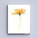 Картина Watercolor flowers