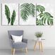 Картина Marble Tropical Leaf