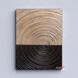 Картина Gold Black Abstract
