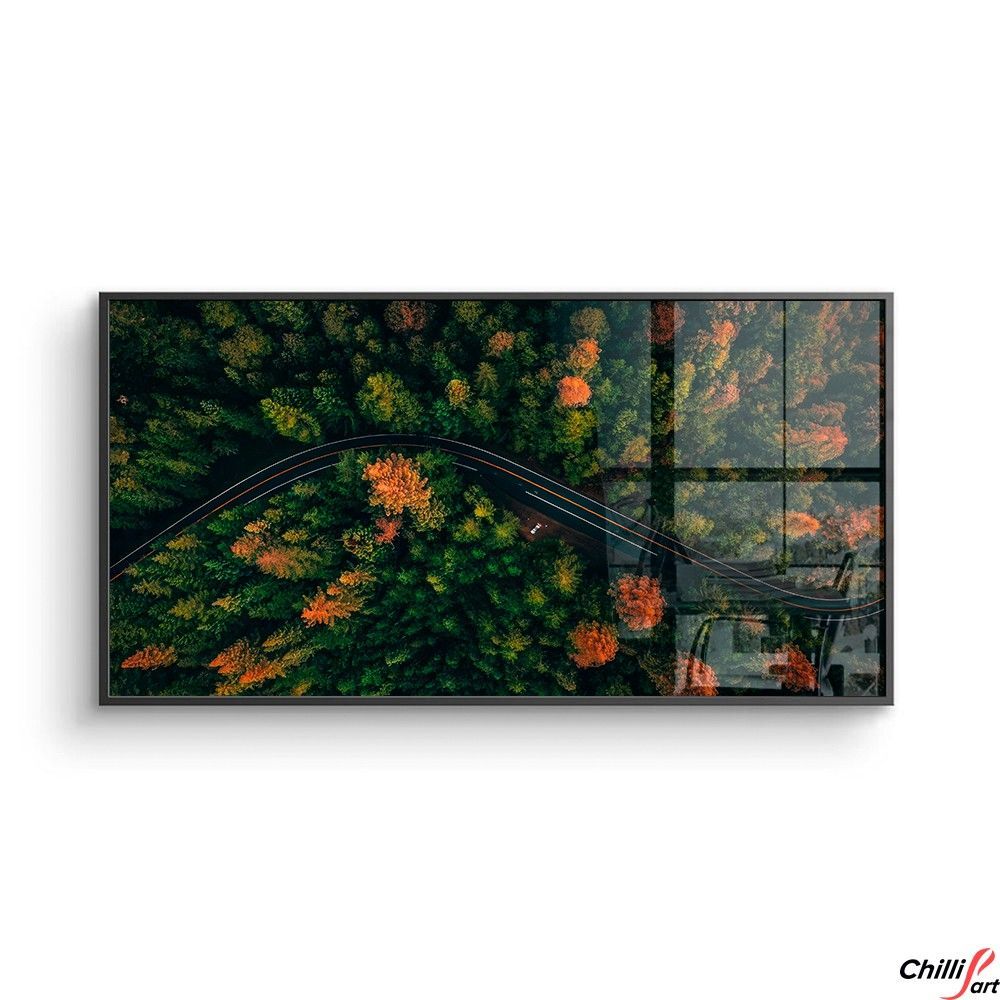 Картина Autumn Canopy Road