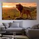 Картина King lion