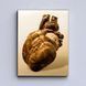 Картина Bitcoin heart
