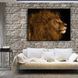 Картина Lion Splash