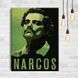 Картина Narcos